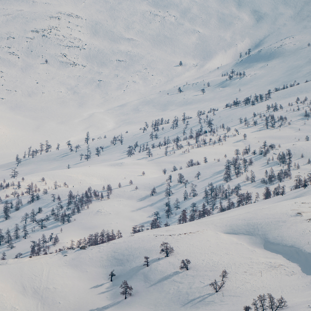 What Ski Goggles Are Best for Overcast Conditions?